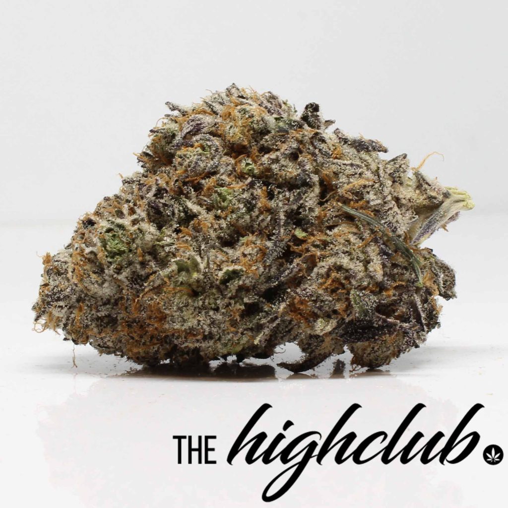 TheHighClub