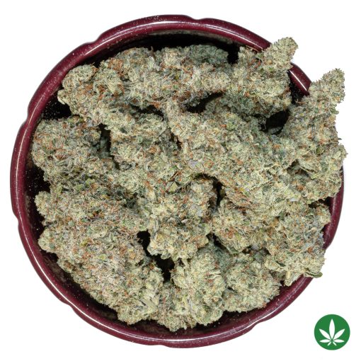 Greasy Pink (AAAA+) - Image 3