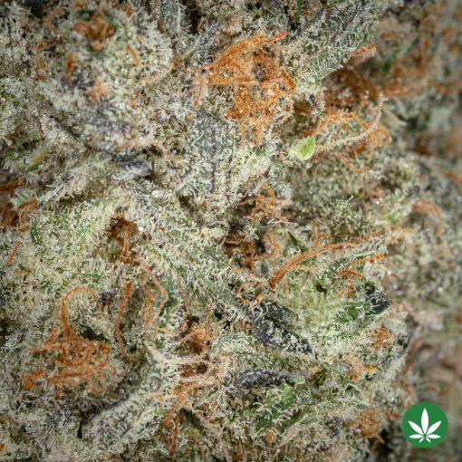 Sour Jamaican Lime (AAA+) - Image 2