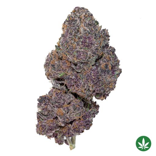 Huckleberry Soda (AAA+)