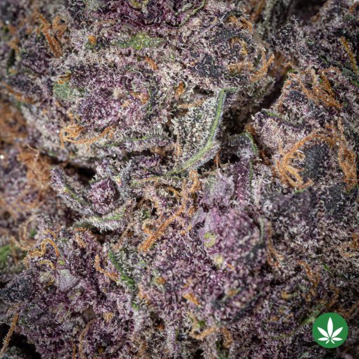 Huckleberry Soda (AAA+) - Image 2