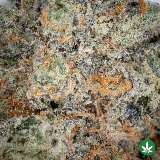 Peanut Butter Rockstar (AAA+) - Image 2