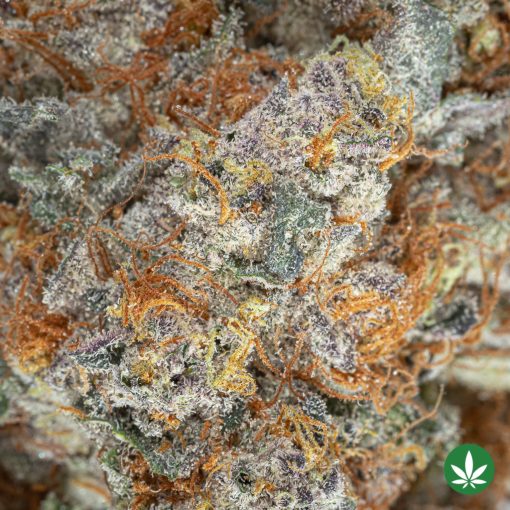 LA Confidential Purple Diesel (AAAA+) - Image 2