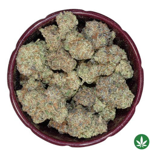 Purple Cactus (AAAA+) - Image 3